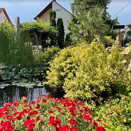 בית אירוח Kati P Vendeghaz שיופוק