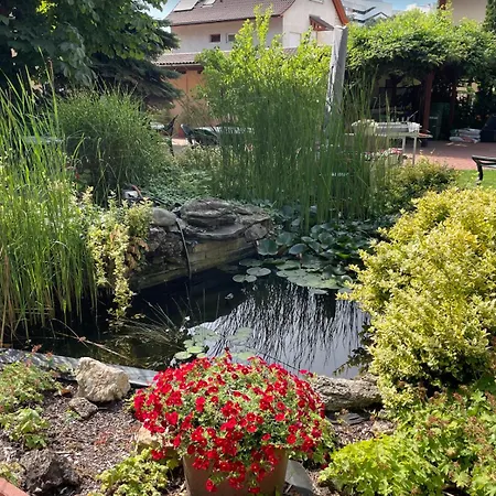 Kati P Habitación en casa particular