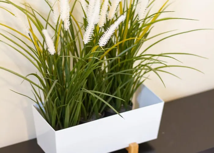 בית אירוח Kati P Vendeghaz *