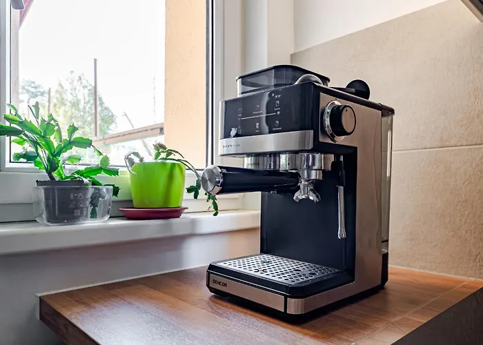 홈스테이 T7 Garden